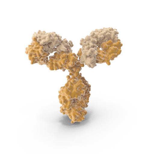 [0544-MBS850553-0.1 mg] antisize:CA125 antibody :: Mouse Cancer Antigen 125  CA125  Monoclonal Antibody size: 0.1 mg